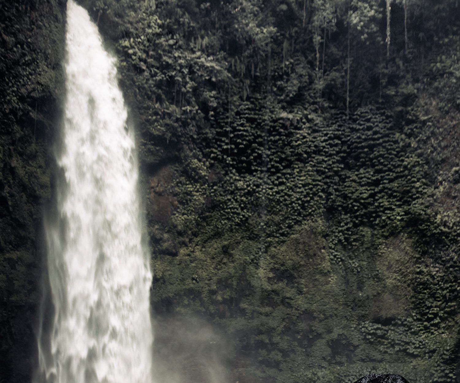 Man gazing up at tropical waterfall