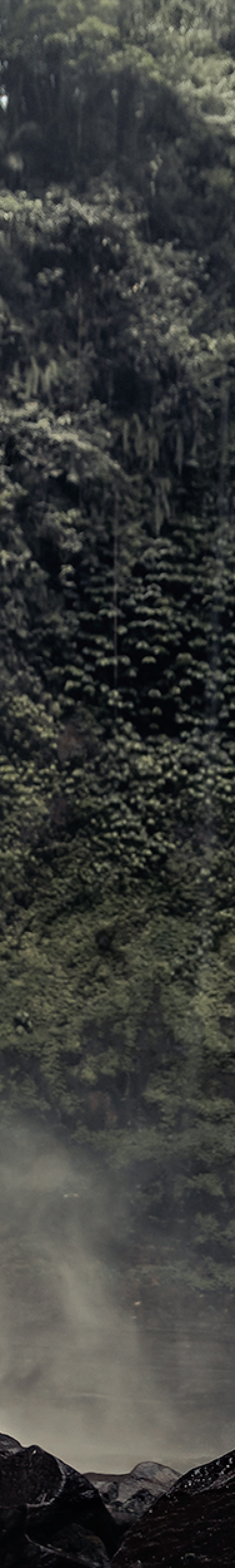Man gazing up at tropical waterfall